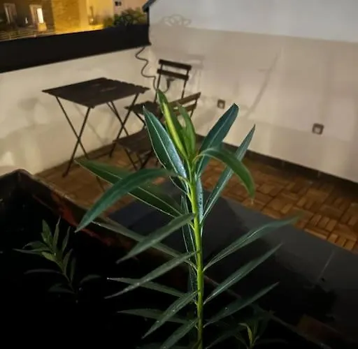 Charming Quite Apartment, Blizu Centra